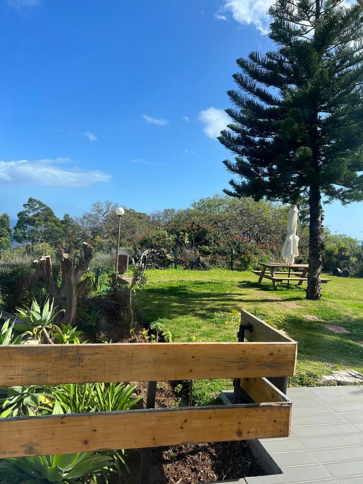 Discovery Apartment With Patio Discovery 2 Machico  Ngoại thất bức ảnh